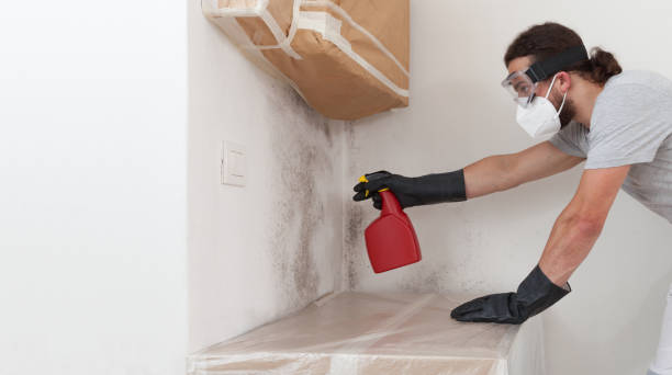Professional Mold Inspection And Testing technician working in Highland Park, PA